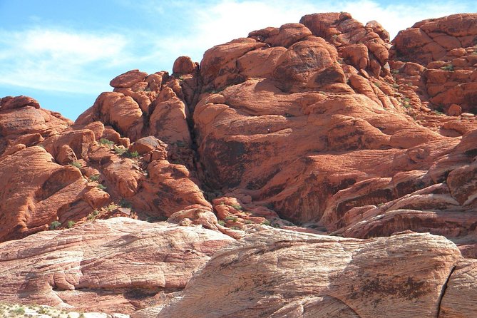 Half-Day Electric Bike Tour of Red Rock Canyon - Health and Safety Requirements