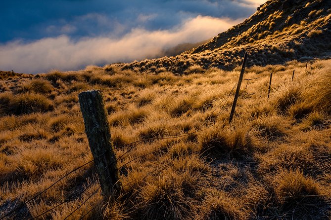 Half-Day Queenstown Photography Tour - Accessibility Features