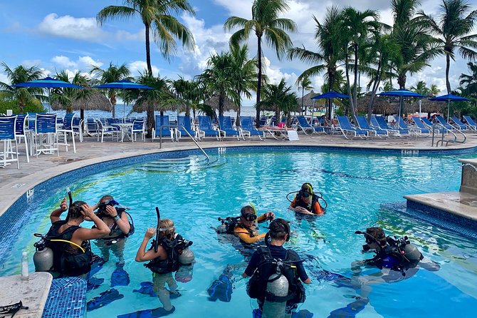 Half Day Scuba Diving Trip in the Florida Keys - What to Expect on the Dive