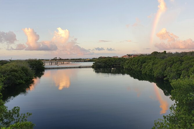 Half-Day Spanish Lagoon Mangrove Trail With Private Guide - Customer Reviews