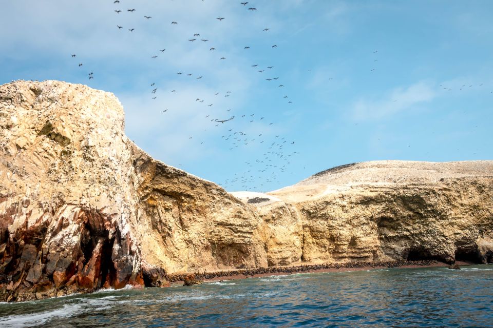 Half Day Tour: Ballestas Islands & Paracas Natural Reserve - Customer Feedback