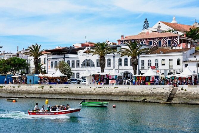 Half-Day Tour in Lagos and Sagres - Guide Expertise and Engagement