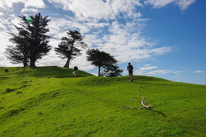 Half-Day Volcano Tour From Auckland - What to Bring