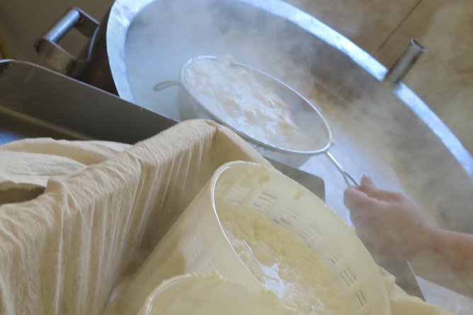 Halloumi Heaven: Cheese-Making Class & Troodos Mountain Villages 8h - Transportation and Pickup Details