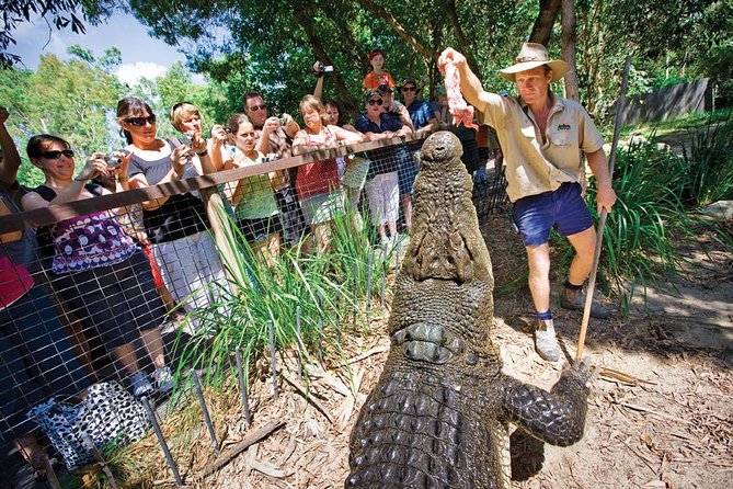 Hartleys Crocodile Adventure Half-Day Tour - Tips for a Great Visit