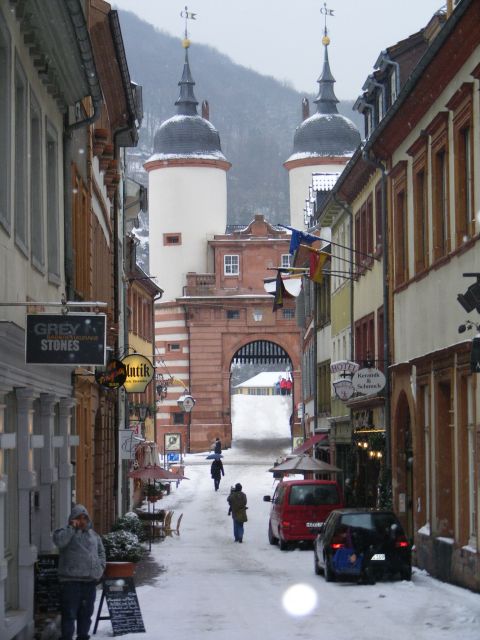 Heidelberg: 2-Hour Crime Tour With Costumed Guide - Historical Crimes and Spooky Tales