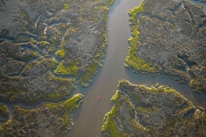 Hilton Head Guided Kayak Tour - Wildlife Encounters