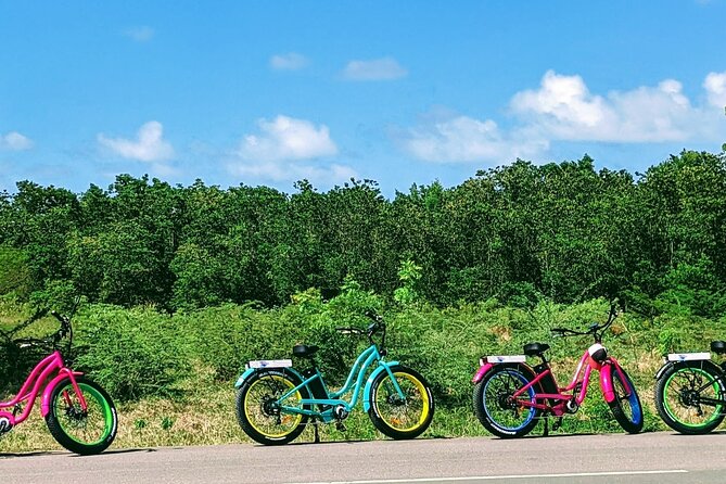 Historic City, Fort and Beach E-Bike Tour - Customization and Private Options