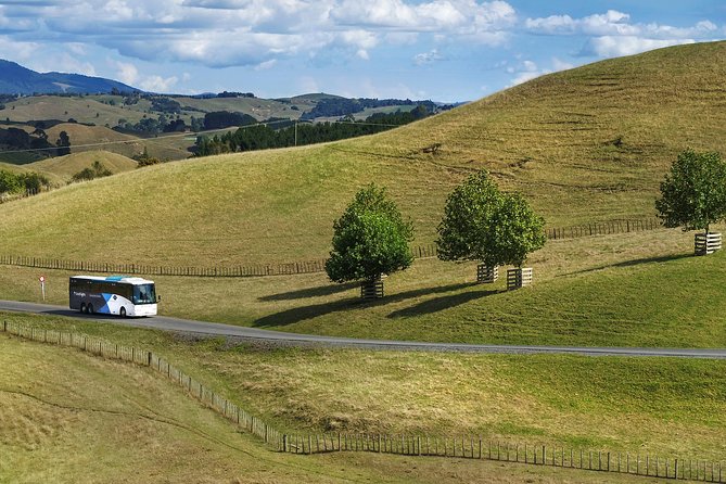 Hobbiton & Waitomo Caves Guided Tour From Auckland With Lunch - Booking and Cancellation Policy