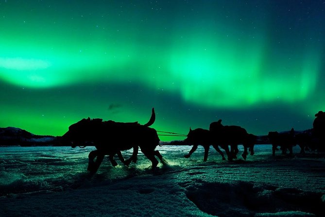 Hunting Northern Lights With Husky - Weather Considerations for Aurora