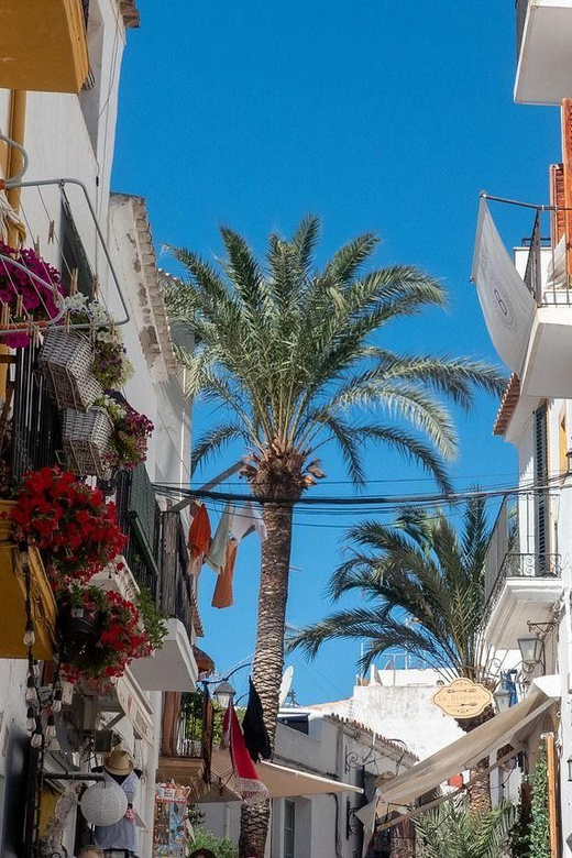 Ibiza Old Town Private Guided Walking Tour - About the Local Guide