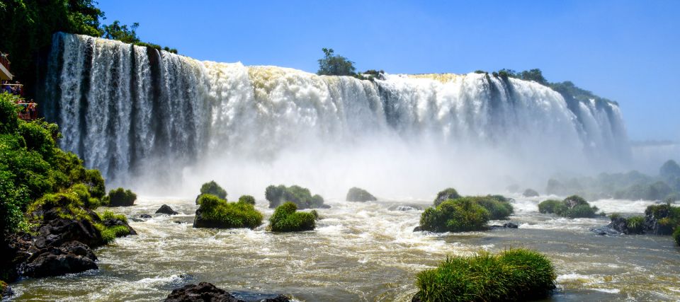 Iguazu Falls: 2-Day Argentinian and Brazilian Iguazu Falls - Wildlife and Flora Insights