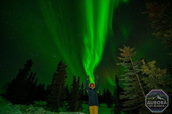 Incredible Aurora Viewing Adventure - Booking Process