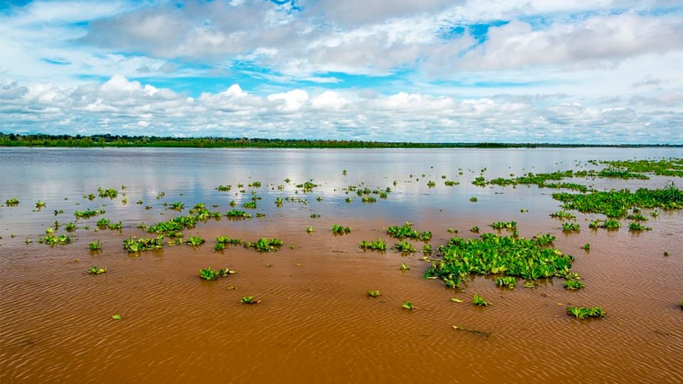 Iquitos: 6-Hour Wonderful Wildlife Guided Tour - Customer Reviews