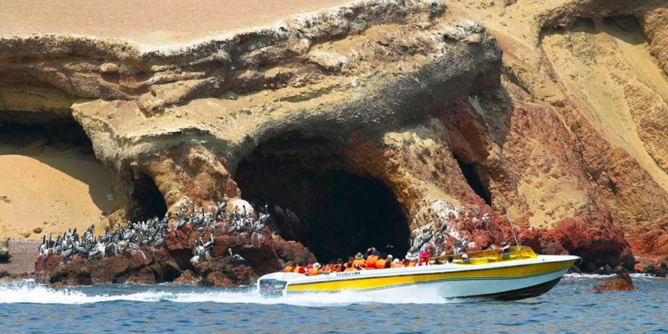 Islas Ballestas Boat Tour - The Galapagos of Peru - Meeting Point and Logistics