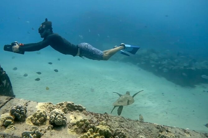 Jet Snorkeling in Turtle, Dolphin and Monk Seal Bay - Customer Experiences