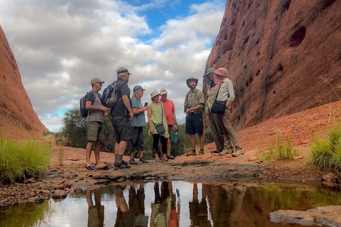 Kata Tjuta Small-Group Tour Including Sunrise and Breakfast - Customer Feedback