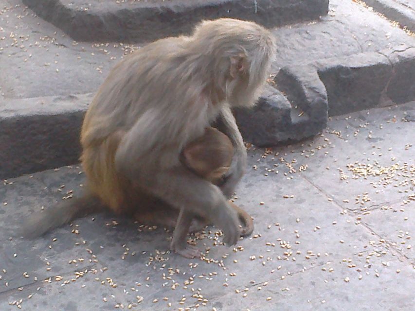 Kathmandu: Monkey Temple and Chandragiri Cable Car Ride Tour - Inclusions of the Tour