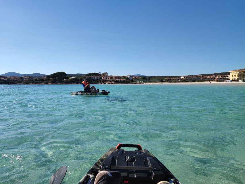 Kayak Tour in Cala Moresca - Aperitif and Dolphin Watching - Participant Requirements