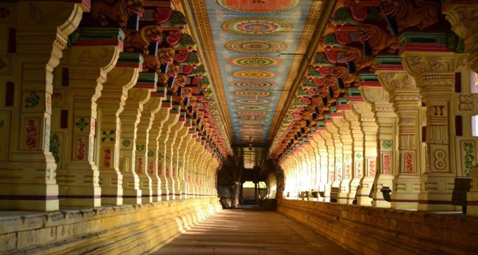 Kochi: Highlights of South India 7-Day Trip - Transportation Options