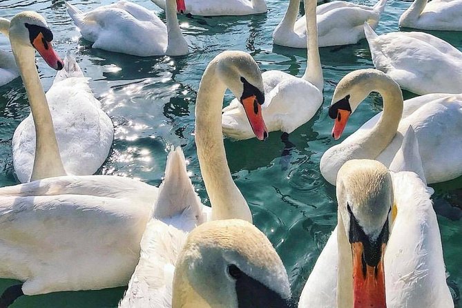 Lake Bled Tour From Ljubljana - Pricing Information