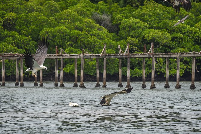 Langkawi Half Day Island Hoping Tour- Sharing Basis - Tips for a Great Tour