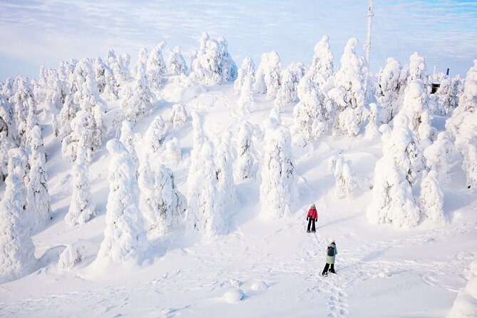 Lapland Winter Experience - Culinary Delights in the Wilderness