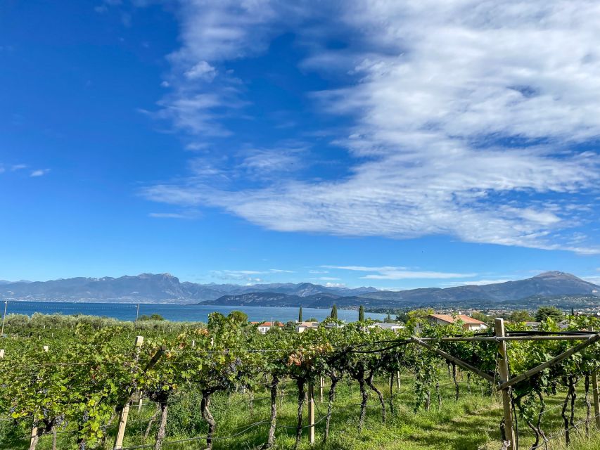 Lazise: Guided Wine Tour With Lake Views at a Historic Villa - Booking Information