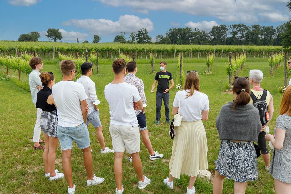 Lazise: Winery Tour With Garda Wines and Food Tasting - Meeting Point Information