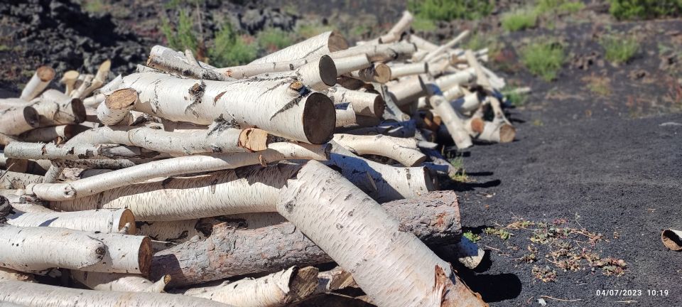 Linguaglossa: North Etna Guided Forest Walking Tour - Inclusions and Amenities