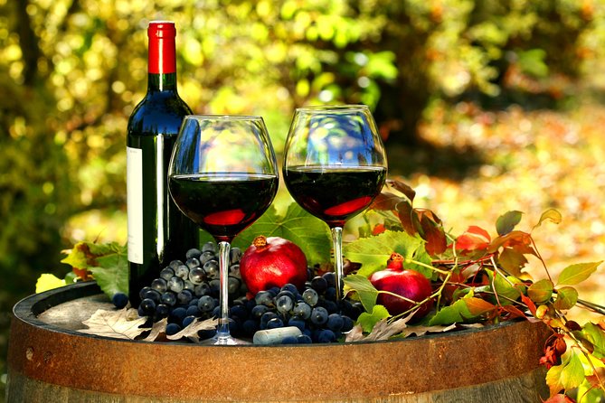 Livorno Shore Excursion: Chianti and Tuscany Countryside Private Wine Tour - Accessibility Details