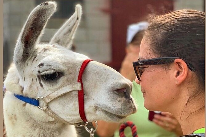 Llama/Alpaca Hike and Farm Tour - Booking and Cancellation Policy