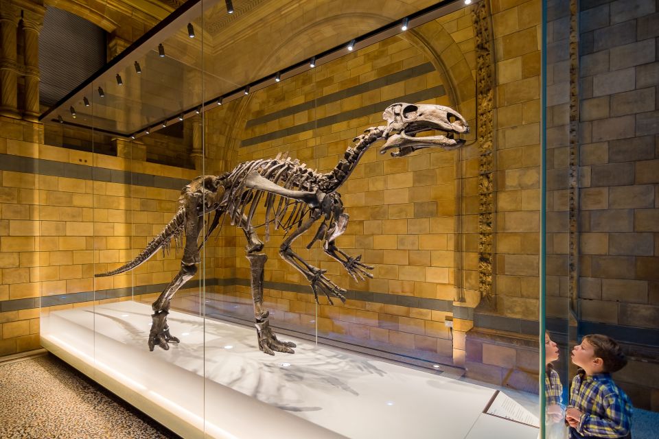 London: Natural History Museum Private Guided Family Tour - Inclusions and Exclusions