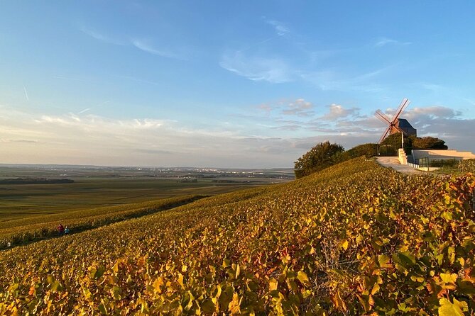 Luxury Champagne Tour: Famous House & Confidential Domaine - Accessibility Options