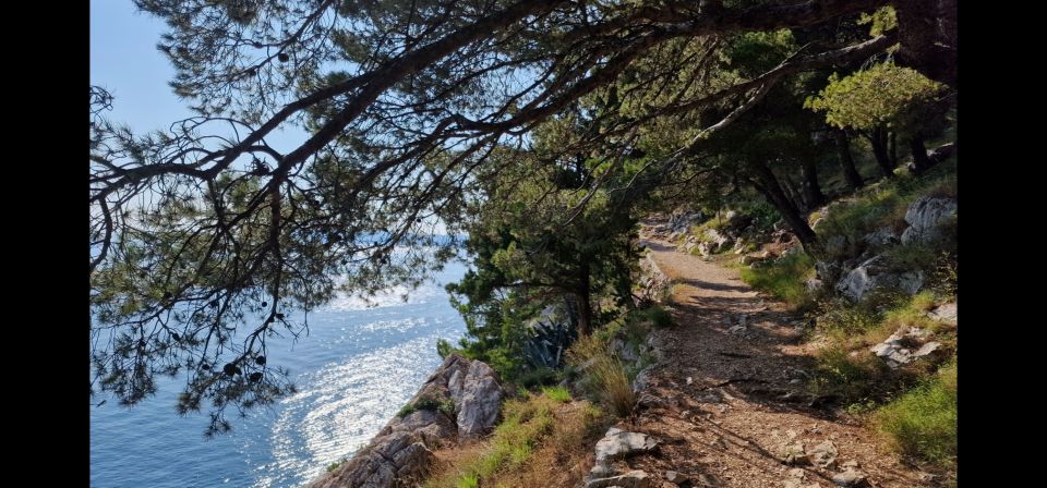 Makarska: Scenic Coastal Hike & Swim Tour - Customer Reviews