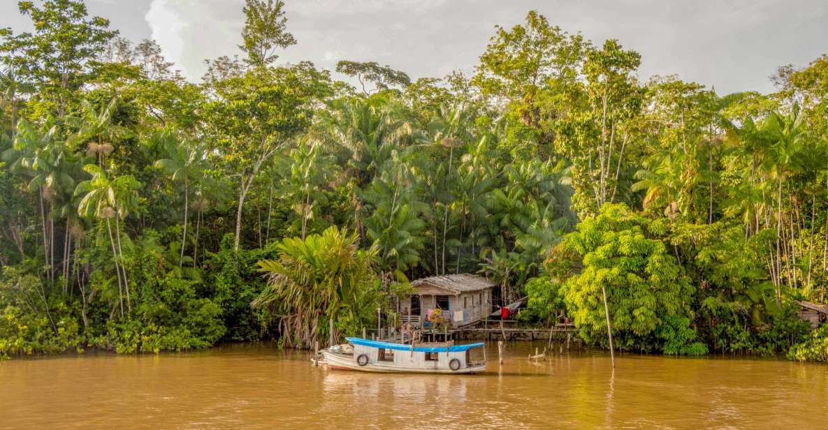 Manaus: 2, 3 or 4-Day Amazon Jungle Tour in Anaconda Lodge - Accommodations and Amenities