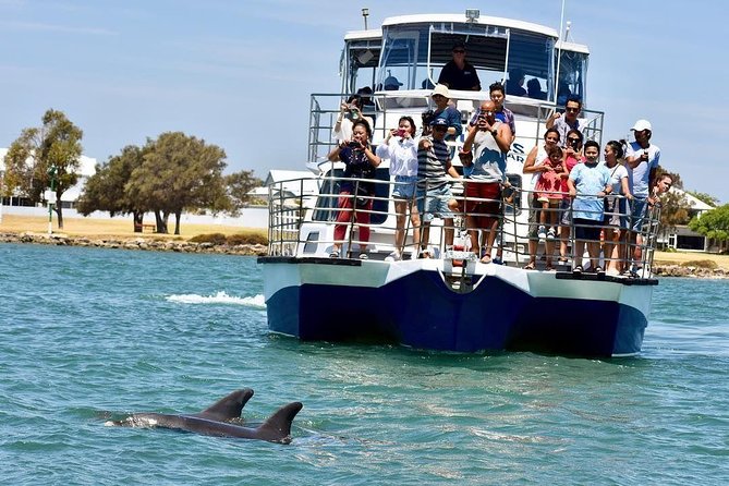 Mandurah Dolphin Cruise and Views - Customer Experiences and Feedback