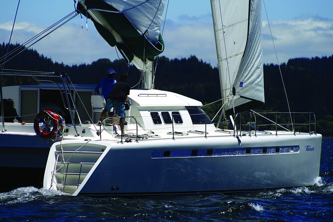 Maori Rock Carvings - Taupo Sailing Adventures -Tiua - Accessibility Features