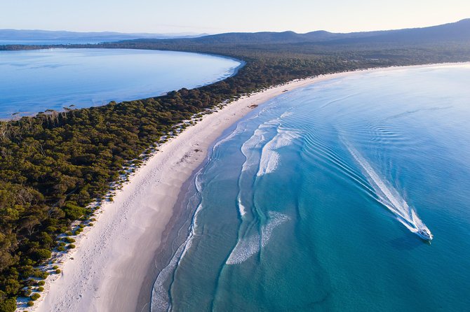 Maria Island Cruise and Guided Walk Day Tour With Lunch and Drinks - Customer Feedback and Reviews