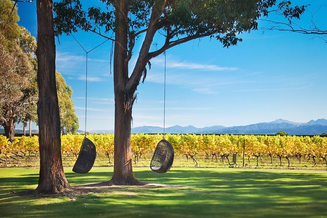 Marlborough Icons Tour - Wine Tasting + Cruise - Inclusions and Logistics