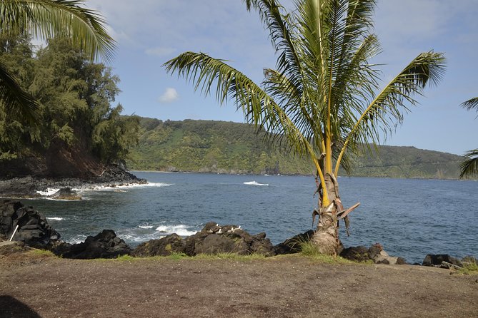 Maui Shore Excursion : Road to Hana Tour From Kaanapali - Experience Along the Route