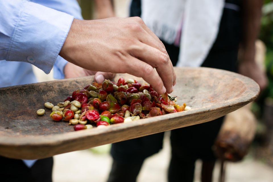 Medellin: Coffee Tour, Horseback Arrival, and Sugar Cane - Meeting Point