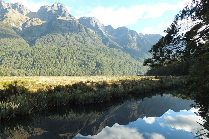 Milford Sound Discovery Tour - Cancellation and Booking Policies