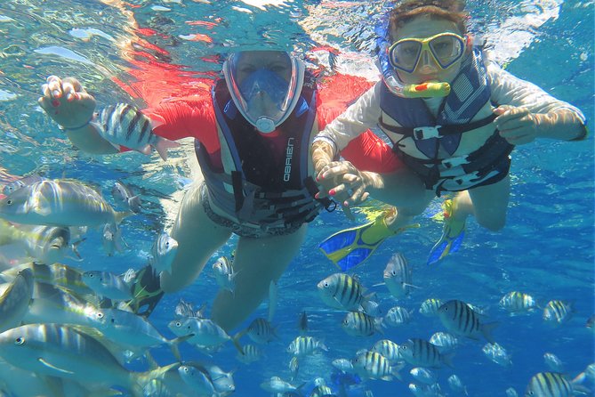 Mimosa Snorkeling Tour From Punta Cana - Customer Reviews and Ratings