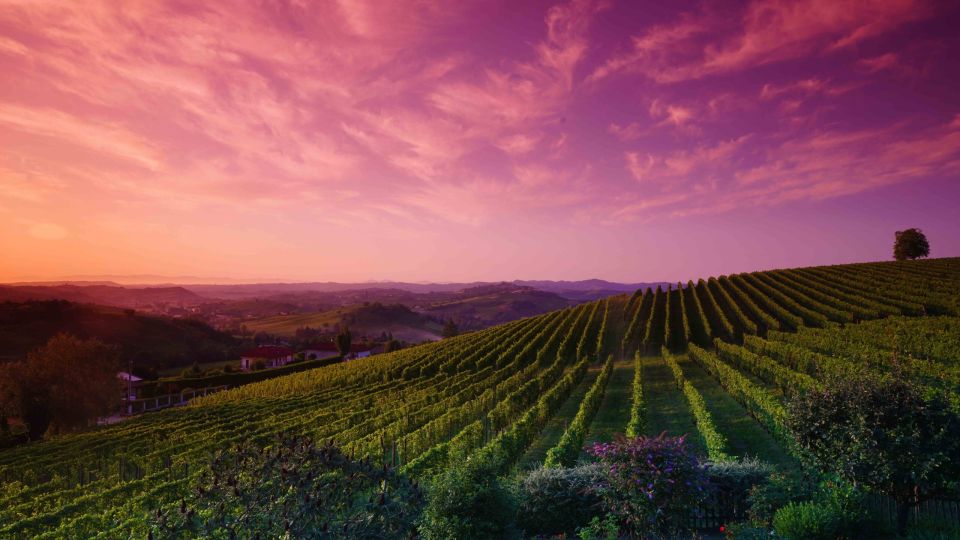 Monferrato: Garetto Wine Estate Tour and Picnic - Planning Your Visit