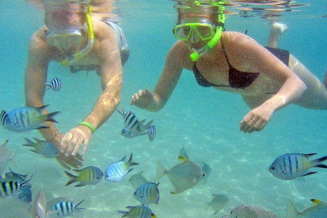 Morning Kayaking and Snorkeling Tour - Guest Reviews