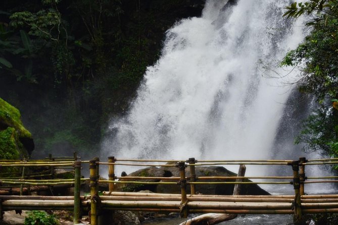 Mount Doi Inthanon Hiking & Bird Watching - Hiking Adventure Highlights