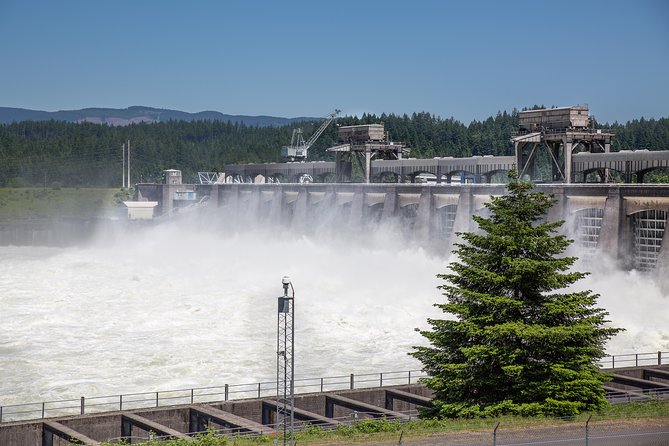 Multnomah Falls & Columbia River Gorge Tour With Gray Line -Pdx03 - Guest Reviews and Feedback