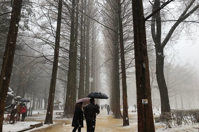 Nami Island and Petite France With the Garden of Morning Calm One Day Tour - Itinerary Details