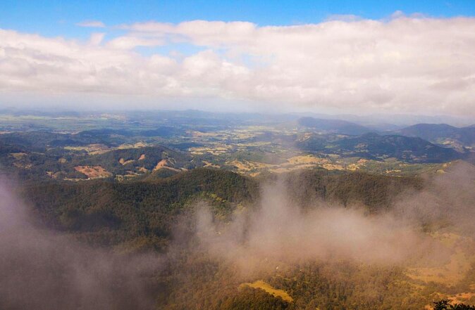 Natural Bridge & Springbrook Waterfalls Tour - Customer Reviews and Experiences